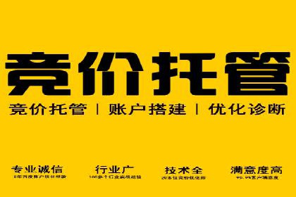 百度竞价广告与自然搜索排名的结合策略案例